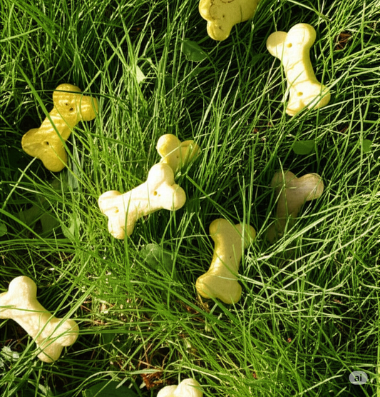 Snacks de entrenamiento