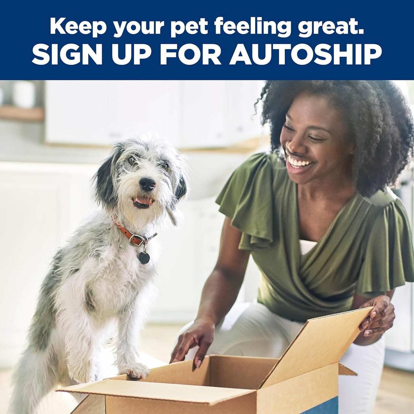 Alimento húmedo (latas o sobres):