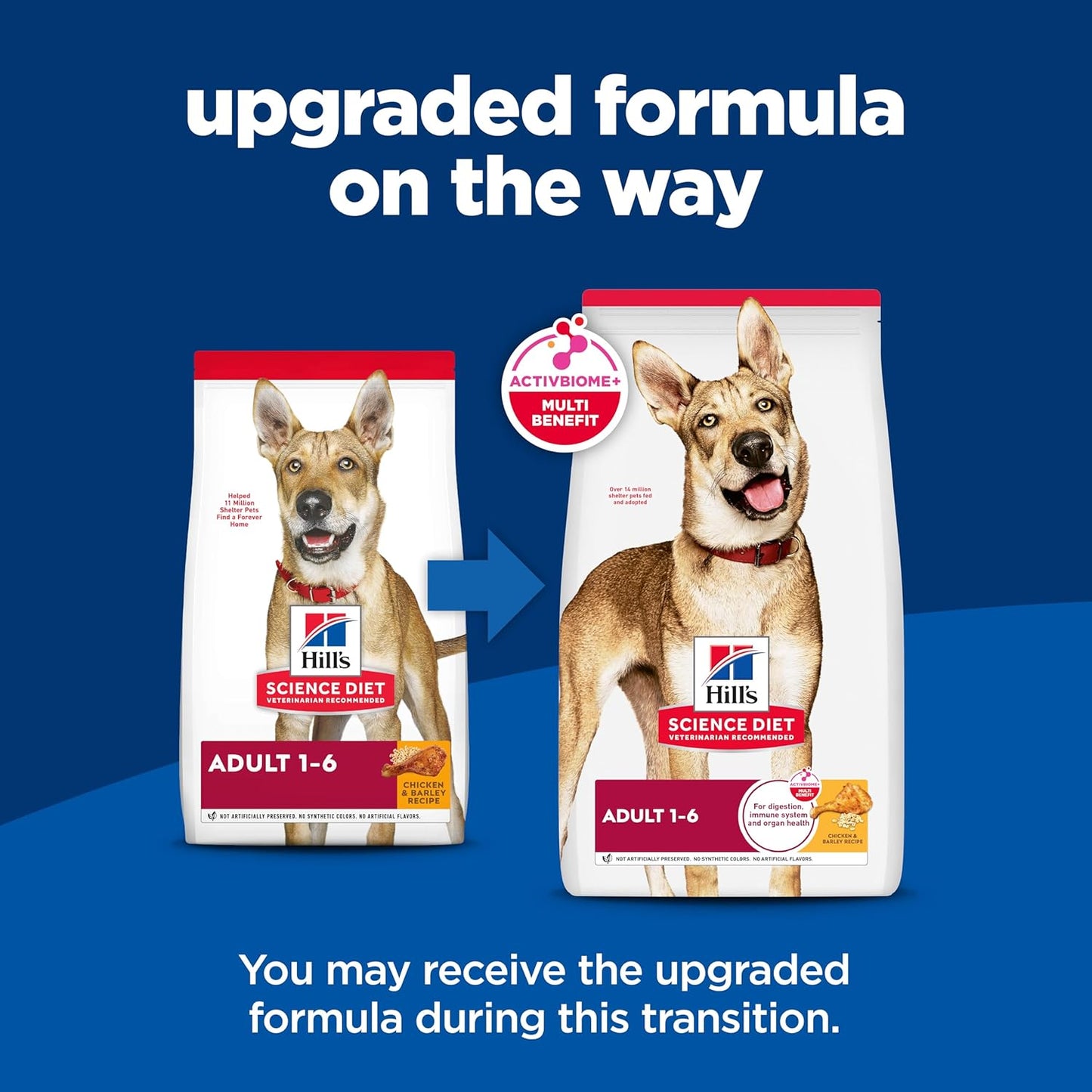 Alimento húmedo (latas o sobres):