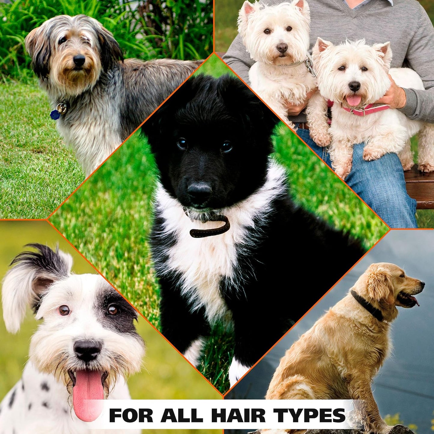 Perfume o Desodorante Perros