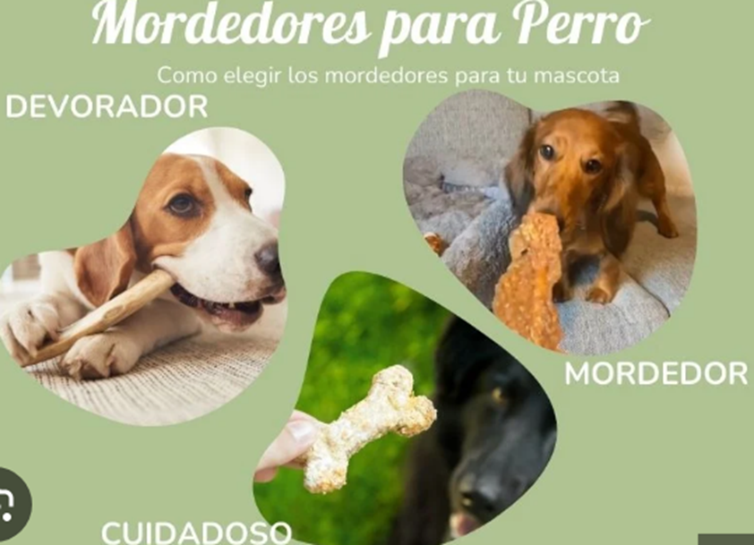 Mordedores para cachorros